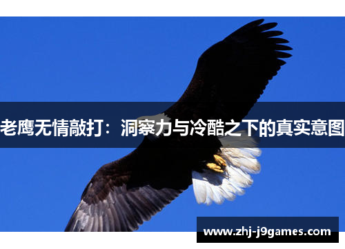 老鹰无情敲打:洞察力与冷酷之下的真实意图 老鹰无情敲打:洞察力与冷酷之下的真实意图