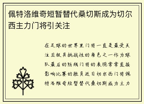 佩特洛维奇短暂替代桑切斯成为切尔西主力门将引关注 佩特洛维奇短暂替代桑切斯成为切尔西主力门将引关注